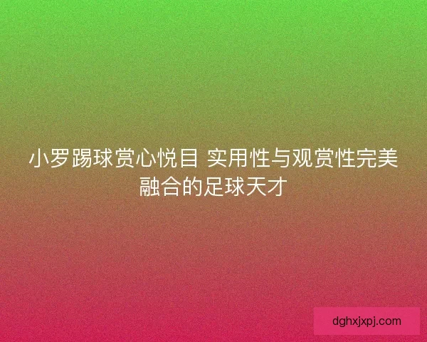 小罗踢球赏心悦目 实用性与观赏性完美融合的足球天才