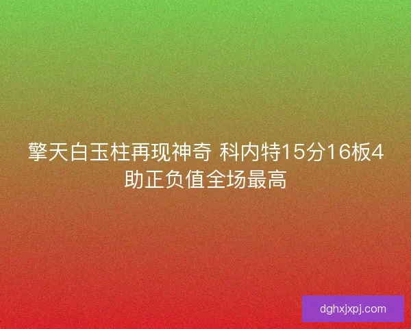 擎天白玉柱再现神奇 科内特15分16板4助正负值全场最高
