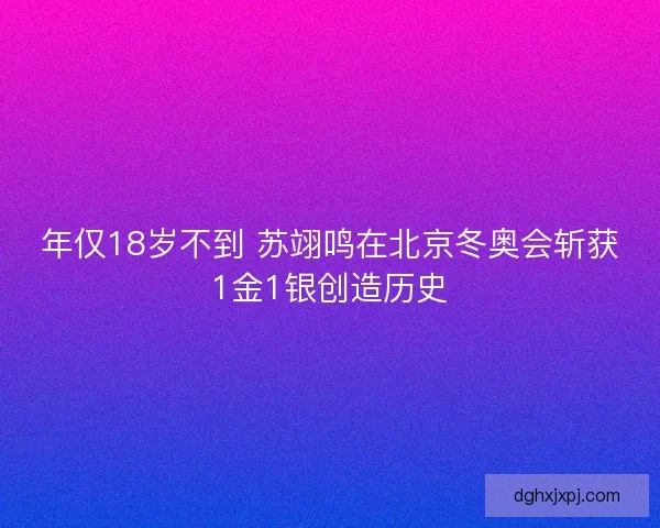 年仅18岁不到 苏翊鸣在北京冬奥会斩获1金1银创造历史